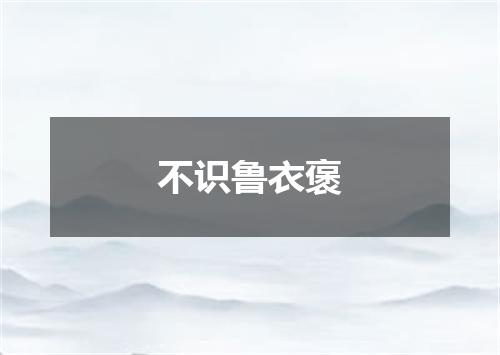 不识鲁衣褒
