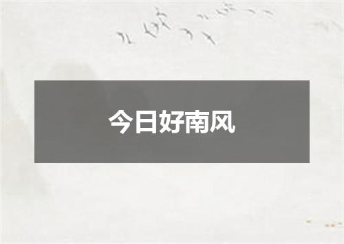 今日好南风