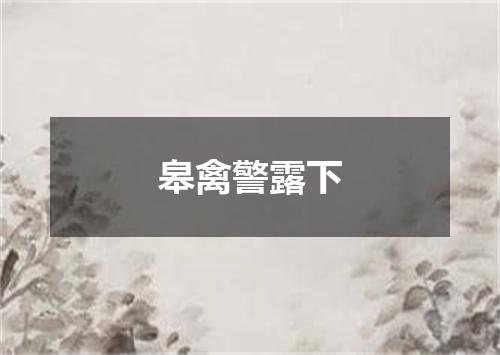 皋禽警露下