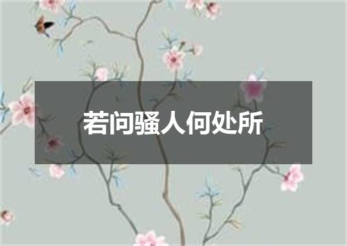 若问骚人何处所