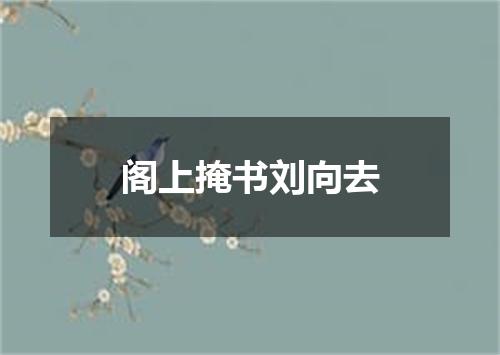 阁上掩书刘向去