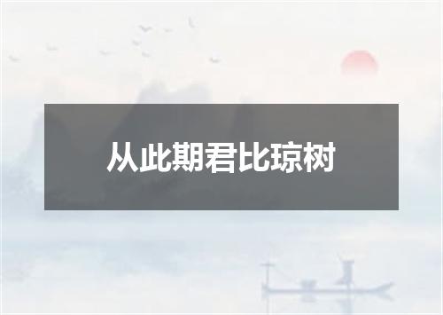 从此期君比琼树