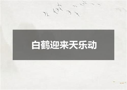 白鹤迎来天乐动