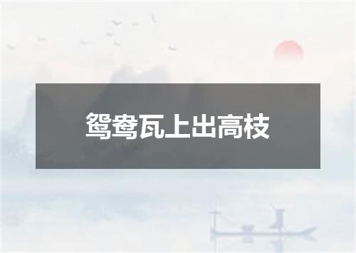 鸳鸯瓦上出高枝
