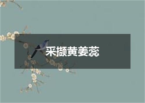 采撷黄姜蕊