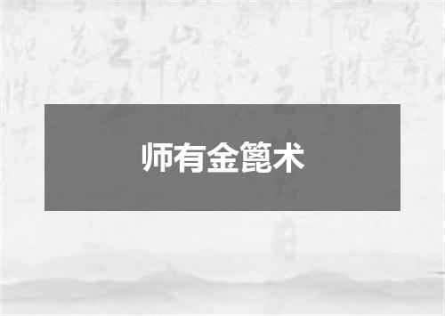 师有金篦术