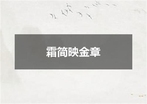 霜简映金章