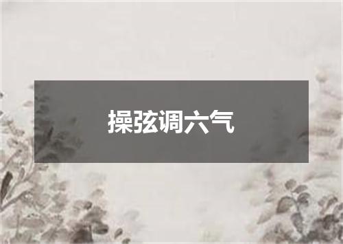 操弦调六气