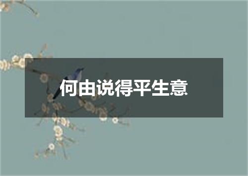 何由说得平生意