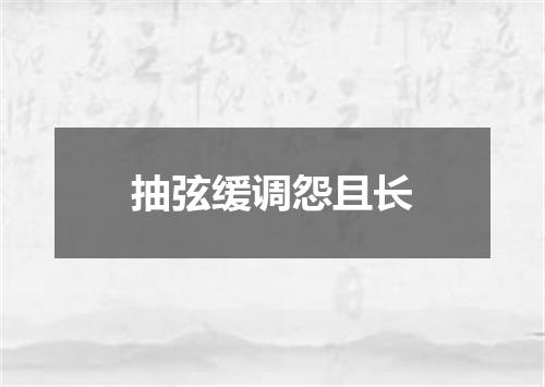 抽弦缓调怨且长