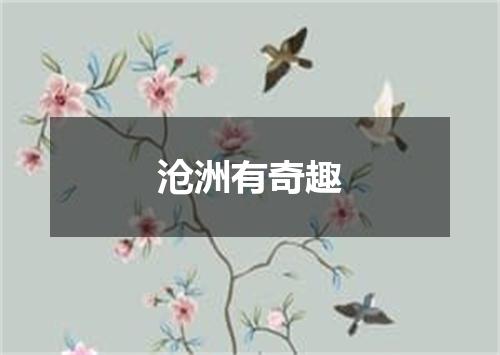 沧洲有奇趣