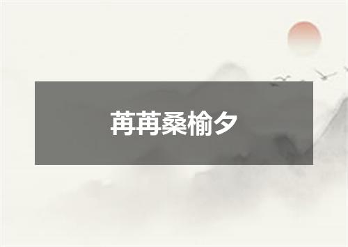 苒苒桑榆夕