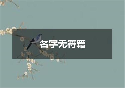 名字无符籍