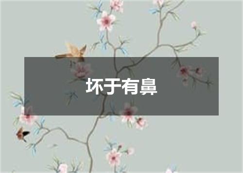 坏于有鼻