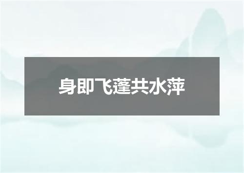 身即飞蓬共水萍