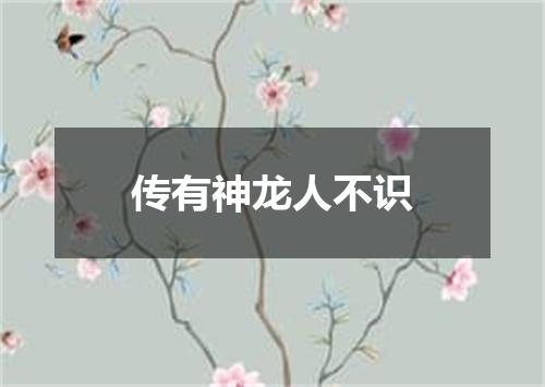 传有神龙人不识