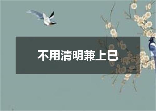 不用清明兼上巳