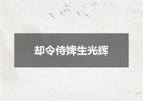 却令侍婢生光辉