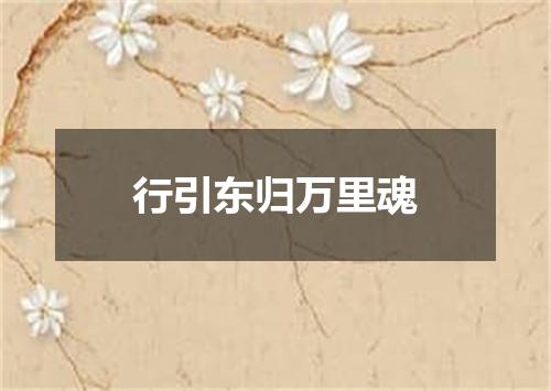行引东归万里魂