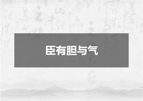 臣有胆与气