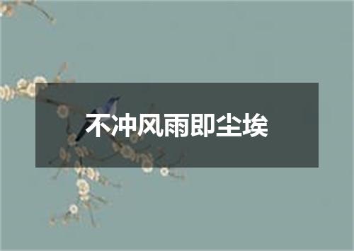 不冲风雨即尘埃