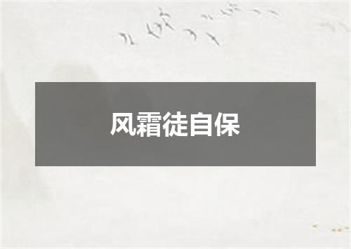 风霜徒自保