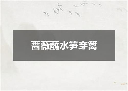 蔷薇蘸水笋穿篱