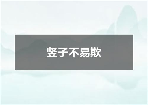 竖子不易欺