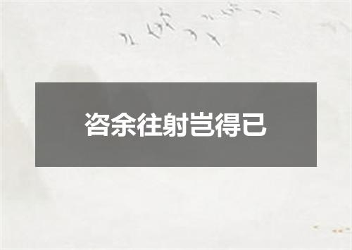 咨余往射岂得已
