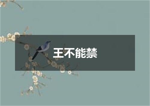 王不能禁