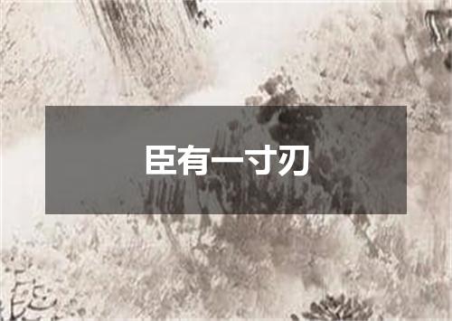 臣有一寸刃
