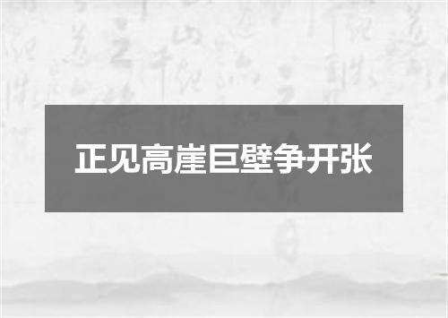 正见高崖巨壁争开张