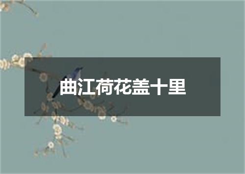曲江荷花盖十里
