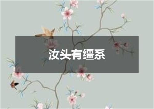 汝头有缰系