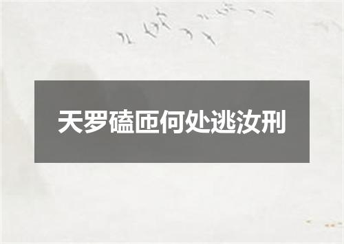 天罗磕匝何处逃汝刑