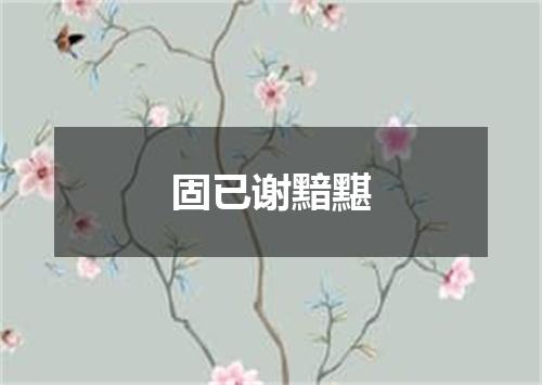 固已谢黯黮