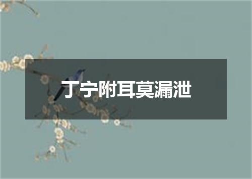 丁宁附耳莫漏泄