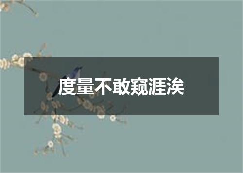 度量不敢窥涯涘
