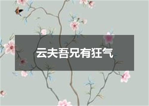 云夫吾兄有狂气