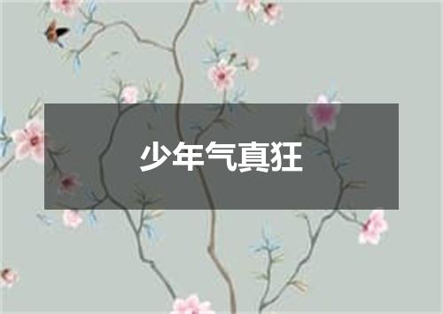 少年气真狂