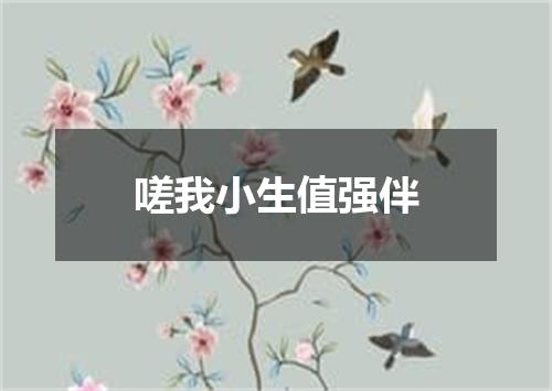 嗟我小生值强伴