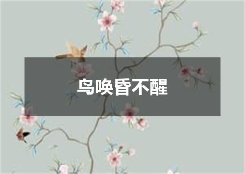 鸟唤昏不醒