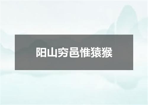 阳山穷邑惟猿猴