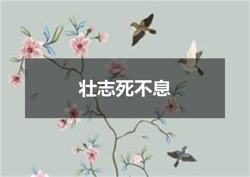 壮志死不息