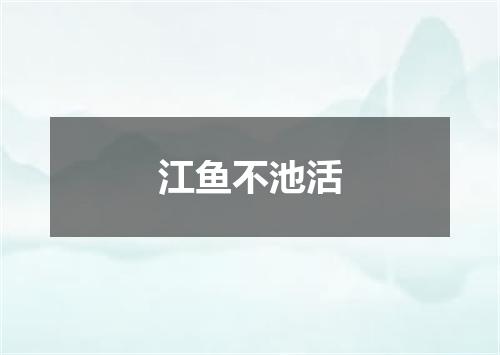 江鱼不池活