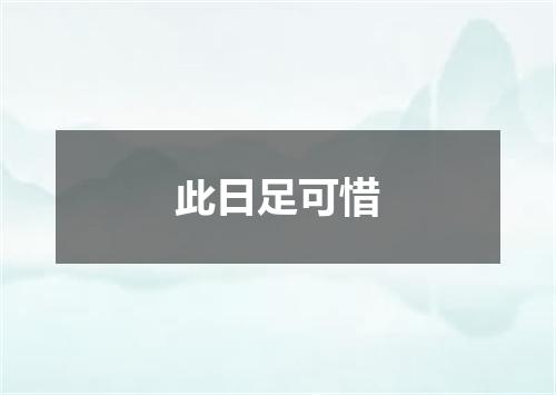 此日足可惜