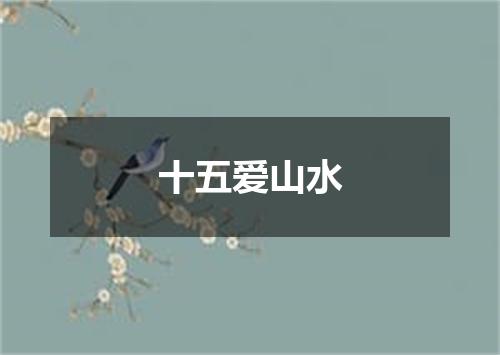 十五爱山水