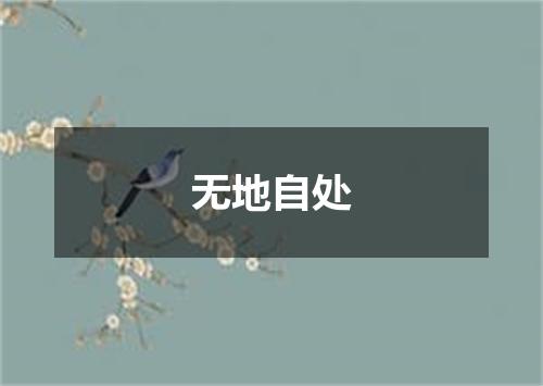 无地自处