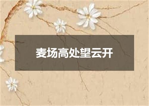 麦场高处望云开