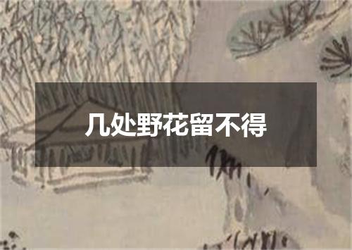 几处野花留不得